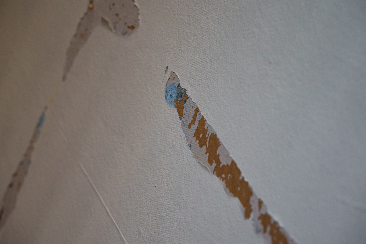 Mold Remediation service in Redwood City, CA
